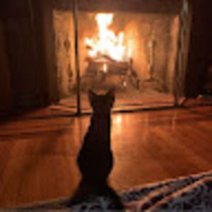 Meet your Posher, Marlene